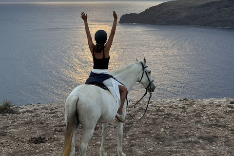 Isla de Porto Santo: Paseos a caballo180 min Aventura