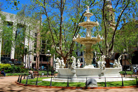 Montevideo for Cruise Passengers: Half-Day Tour of the Top Attractions Montevideo Express for Cruise Passengers: Culture and Local Experiences