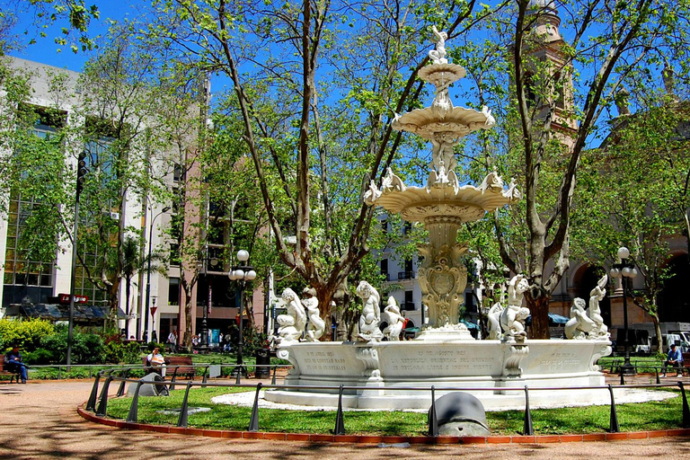 Montevideo for Cruise Passengers: Half-Day Tour of the Top Attractions Montevideo Express for Cruise Passengers: Culture and Local Experiences