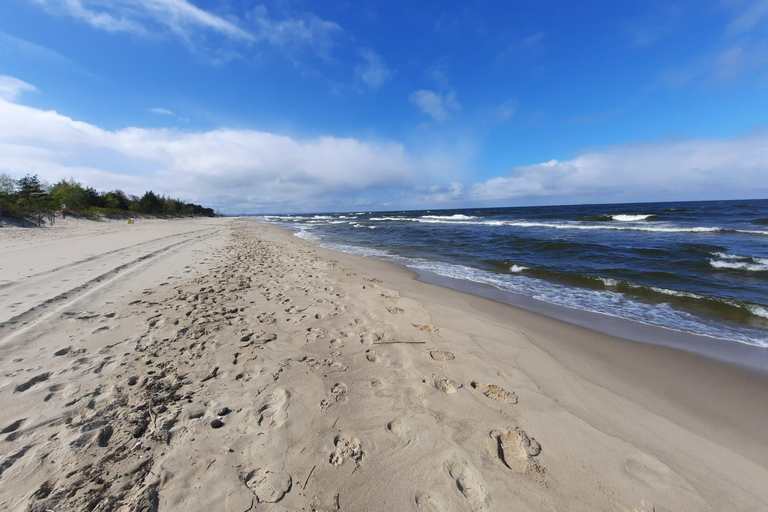 Explore a ilha de Sobieszewo: Caminhada pela natureza e excursão a pé pela vida selvagem