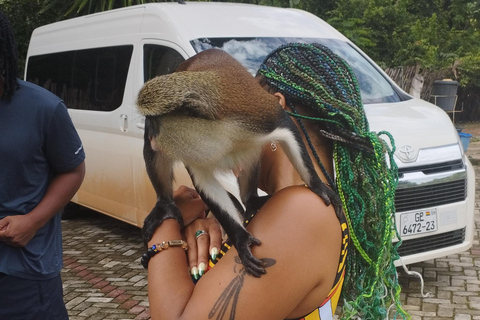 Região de Volta; Santuário de macacos de Tafi Atome e cascata de Wli ...