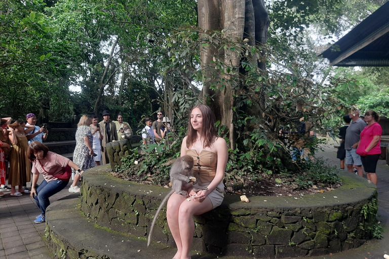Ubud: foresta delle scimmie, terrazzamenti di riso e cascata