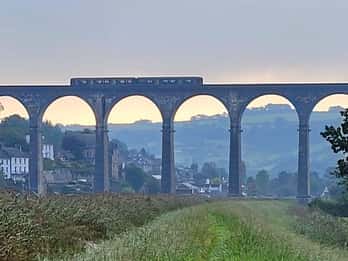 Bere Alston: Guided Walk to Bere Ferrers