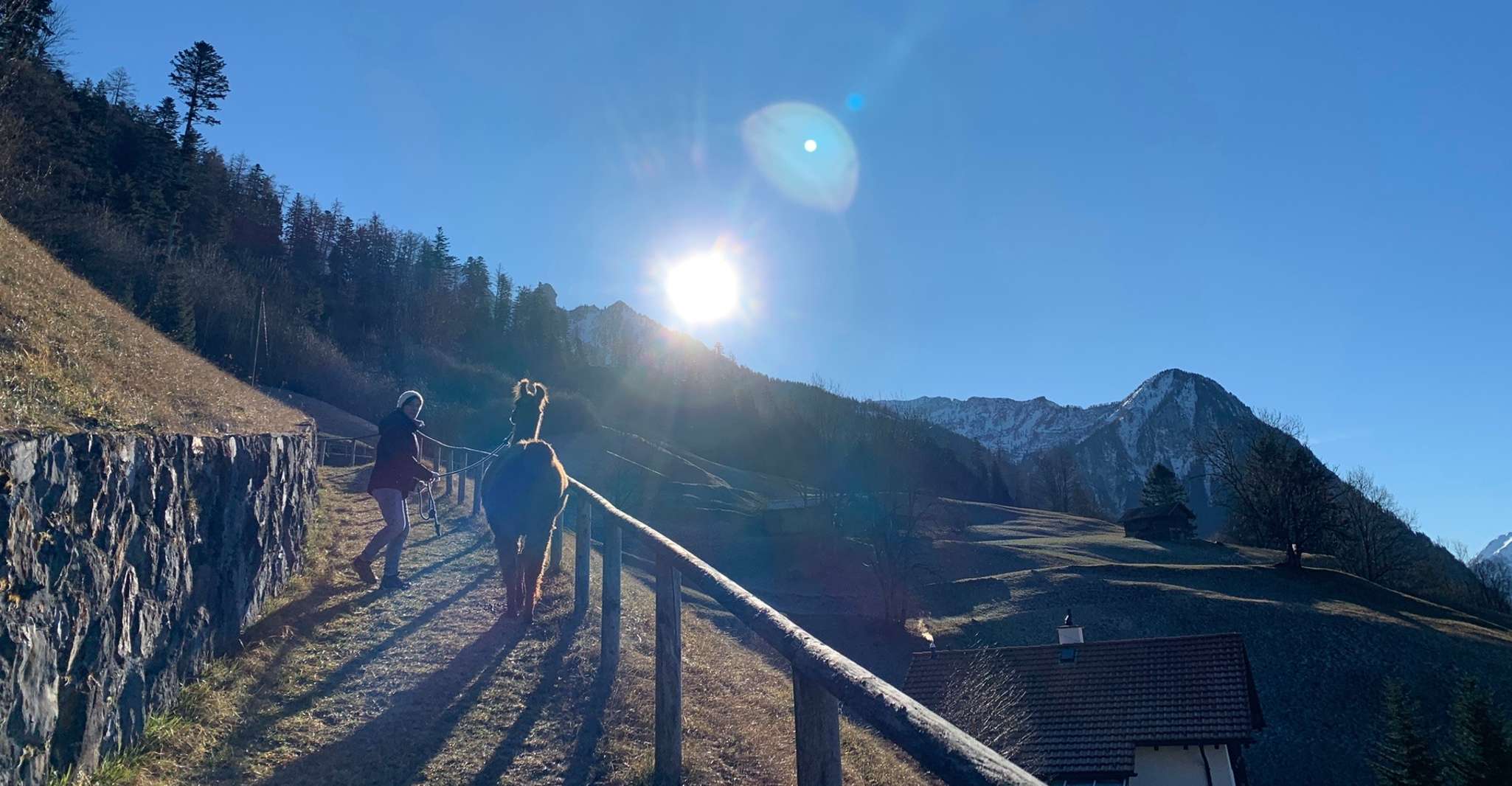 Triesenberg, Passeggiata con un lama tra le bellissime montagne - Hizvo