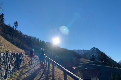 Triesenberg: Vandra med lamor i bergen
