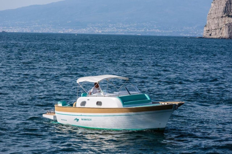 Sorrento: Excursion d'une journée en bateau sur la côte amalfitaine, Amalfi et Positano