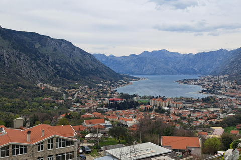 Von Dubrovnik aus: Private Tagestour nach Montenegro