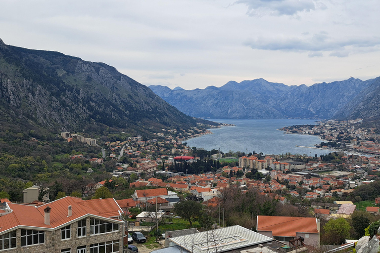 Desde Dubrovnik: Tour privado de un día a Montenegro