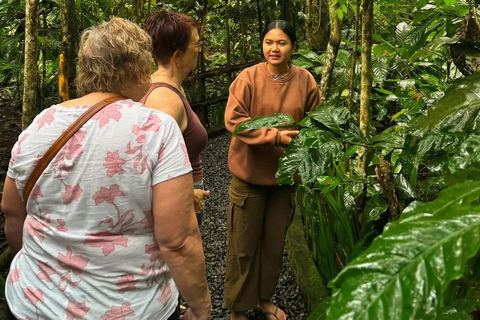 Ubud: Private Half-Day Tour Rice Terrace, Temple & Waterfall Private Half-Day Tour (With Entrance Tickets)