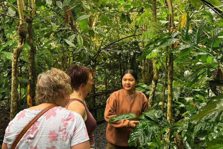 Ubud: Private Half-Day Tour Rice Terrace, Temple & Waterfall Private Half-Day Tour (With Entrance Tickets)