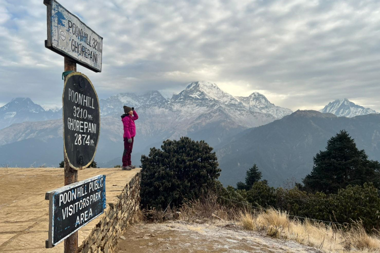 Z Pokhary: 4-dniowy trekking Ghorepani Poon Hill z przewodnikiem