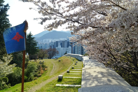 Discover Busan History Walking Tour: Culture & Resilience
