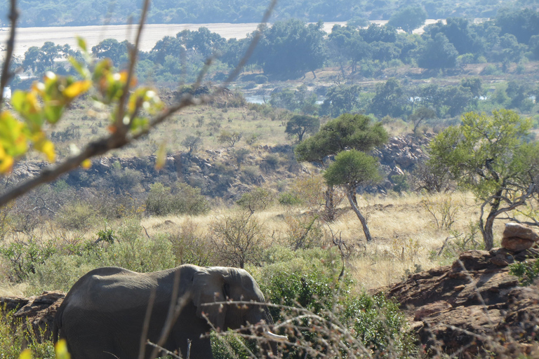 Hwange National Park & Victoria Falls 4-Day Safari Tour