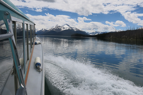 Jasper : Circuit de la faune et des chutes d&#039;eau avec la croisière Maligne