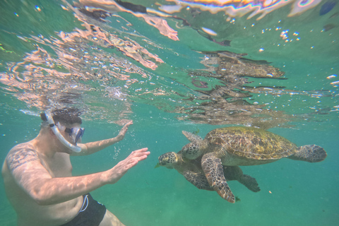 Mirissa Snorkeling Tour with Turtle Adventure and Free Video
