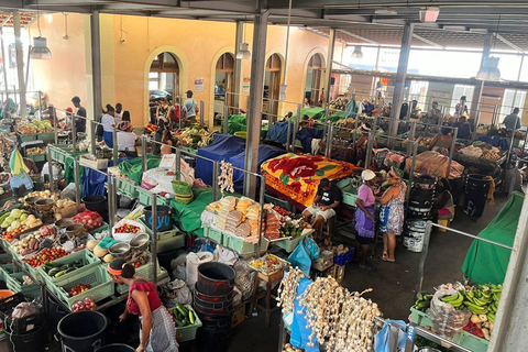 From Praia: Guided tour of Praia, Rua d'Arte & Cidade Velha. Private: Guided tour of Praia, Rua d'Arte & Cidade Velha.