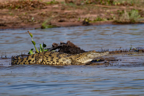 3-day Rwanda Bird Watching in Akagera National Park