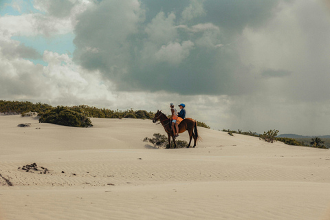 Wadi Rum: Desert Horseback Ride Experience with Lunch