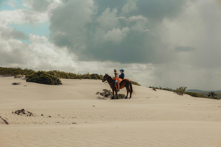 Wadi Rum: Desert Horseback Ride Experience with Lunch