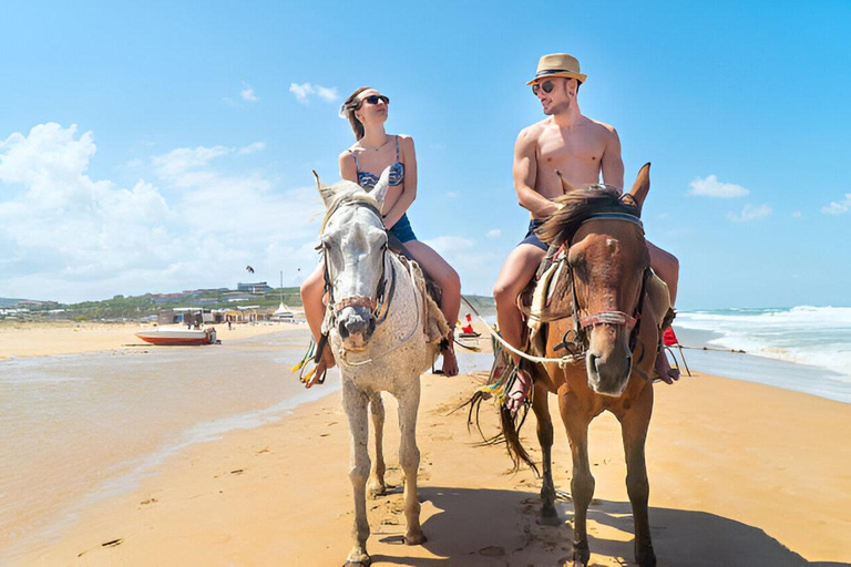 Horseback Ride & Monkey Island Tour with Pickup Puerto Plata