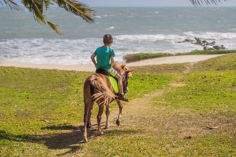 Martinique: Horseback Ride to Grand Macabou & Ocean Views