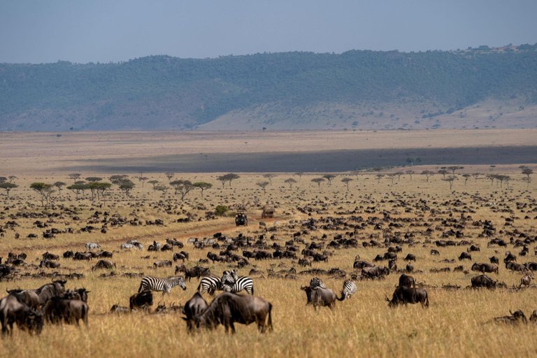 The Wildebeest Migration Safari-Massai Mara