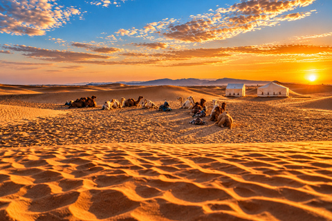 From Agadir: 2-Day Zagora Desert Tour, Camel Ride & Camp Shared Tour – Luxury Desert Camp & Camel Rides