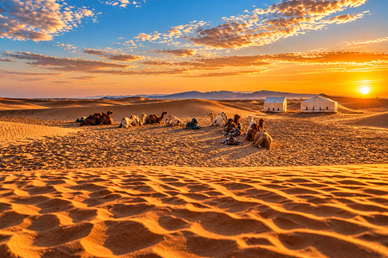 From Agadir: 2-Day Zagora Desert Tour, Camel Ride & Camp Shared Tour – Luxury Desert Camp & Camel Rides