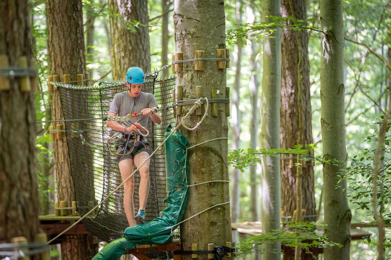 Vizzavona Canopy Walk Vizzavona Tree Climbing