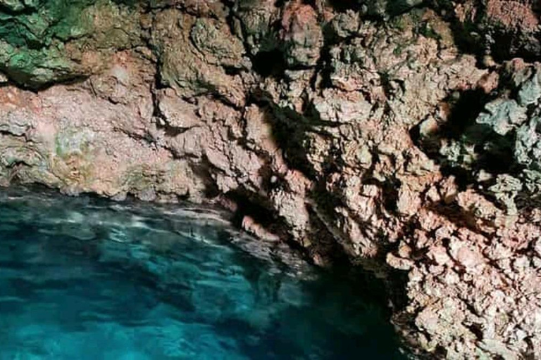 Sansibar: Kokosnussplantage, Reisfarm und Höhlentour