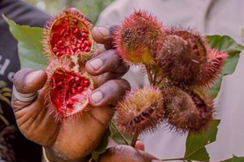 ZANZIBAR: Kryddodling, Stone Town-rundtur och Makachu DiversPRIVAT TUR TRANSFER INGÅR EJ