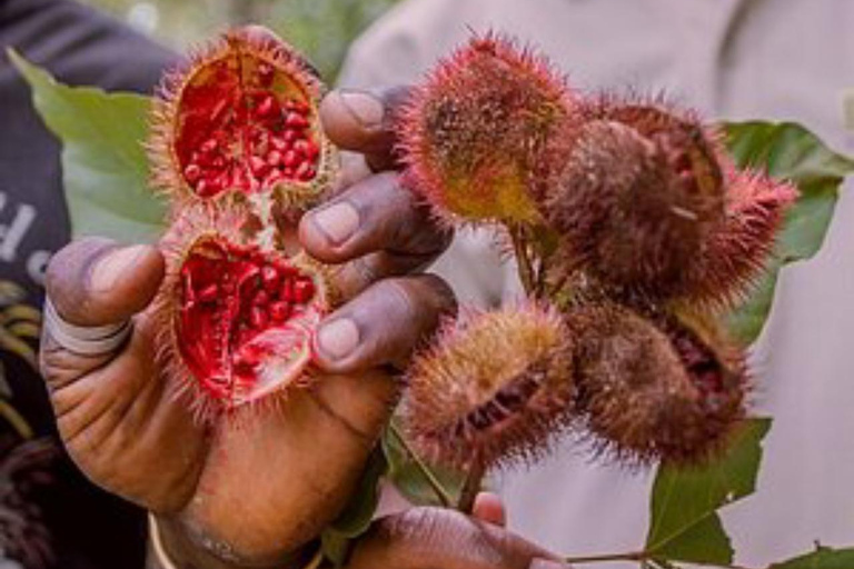 ZANZIBAR: Kryddodling, Stone Town-rundtur och Makachu DiversPRIVAT TUR TRANSFER INGÅR EJ