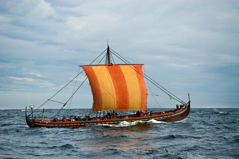 Roskilde: The Big Viking Tour: Ships, Kings & Living History
