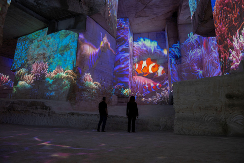 Les Baux-de-Provence: Carrières des Lumières Ocean ticket