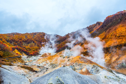 From Sapporo: Noboribetsu, Lake Toya, and Niseko Day Trip Shared Tour, Meet at Sapporo Station