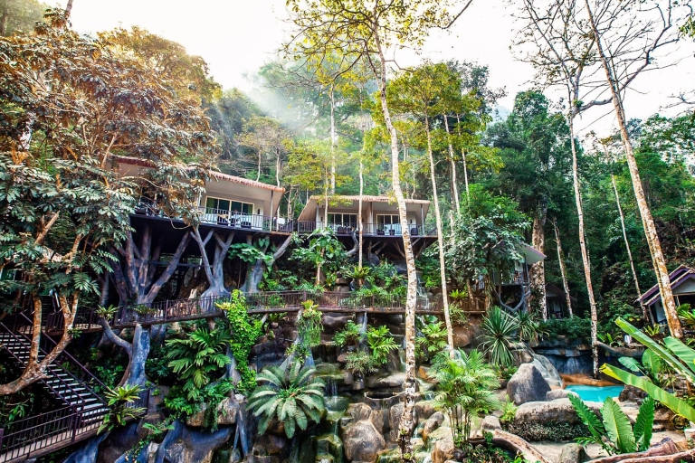Khao Sok National Park: Treehouse Trip mit Übernachtung und Mahlzeiten