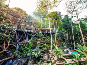 Khao Lak: Khao Sok National Park Übernachtung im Baumhaus