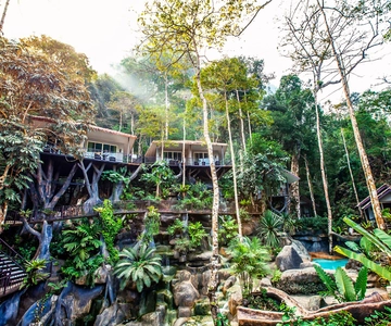 Khao Lak: Khao Sok National Park Overnight Treehouse Trip