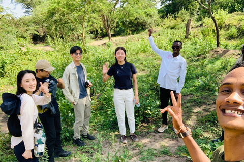 恩德培/坎帕拉：默奇森瀑布和齐瓦犀牛两日游
