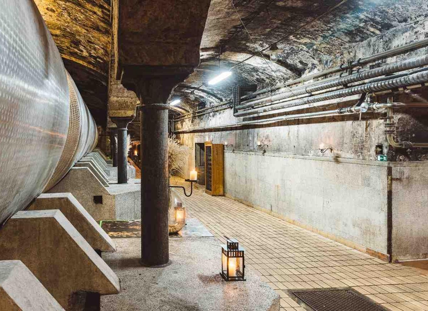 Maribor: Vinag Wine Cellar Tour med vinsmagning og snacks
