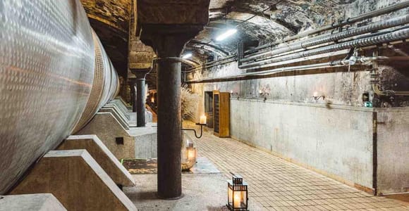 Unsere Weinberg-Touren in Maribor und der Steiermark