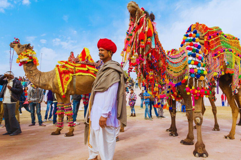 Rajasthan Cultural Tours