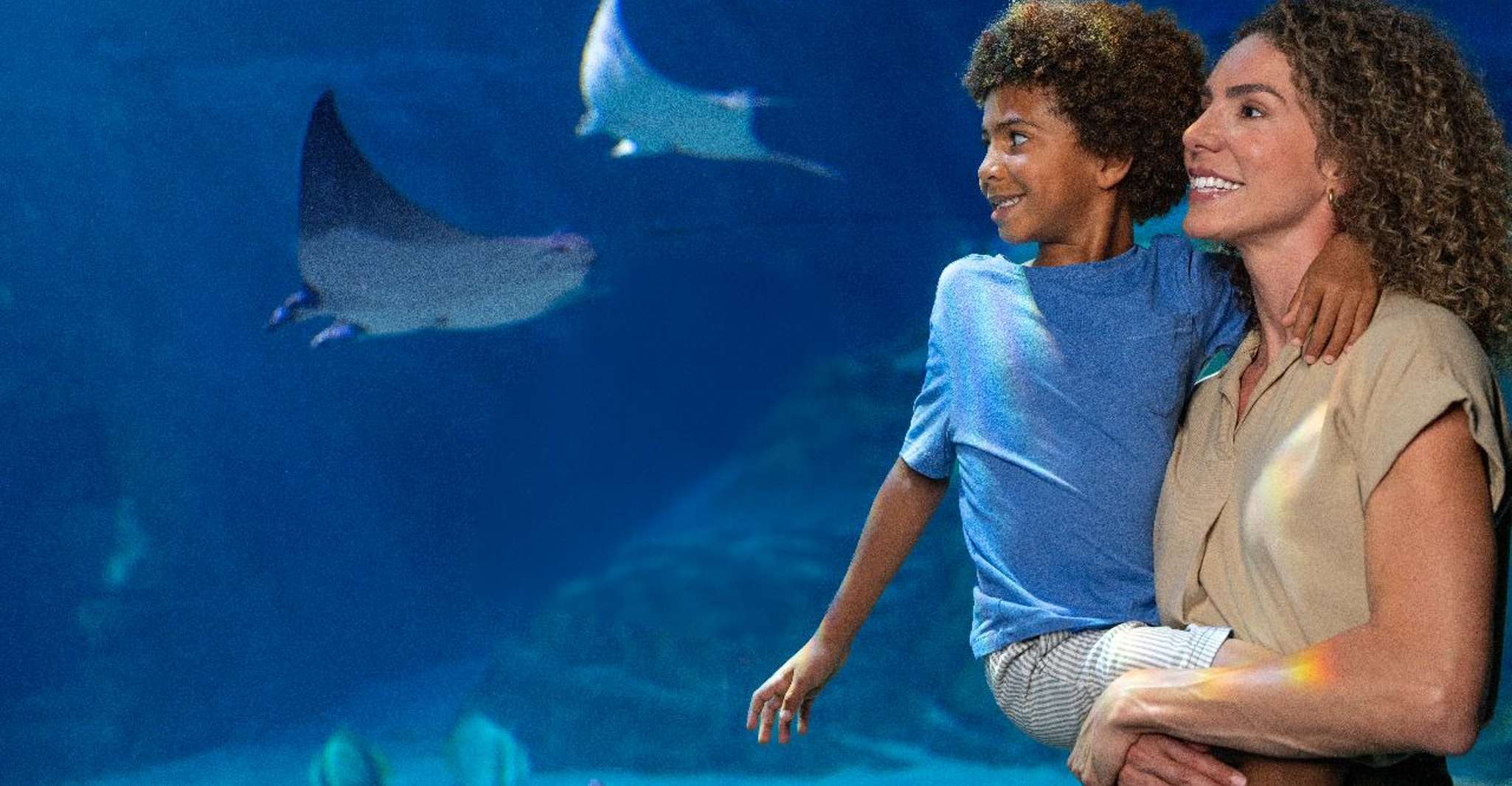 SeaWorld Orlando: Park Admission Ticket