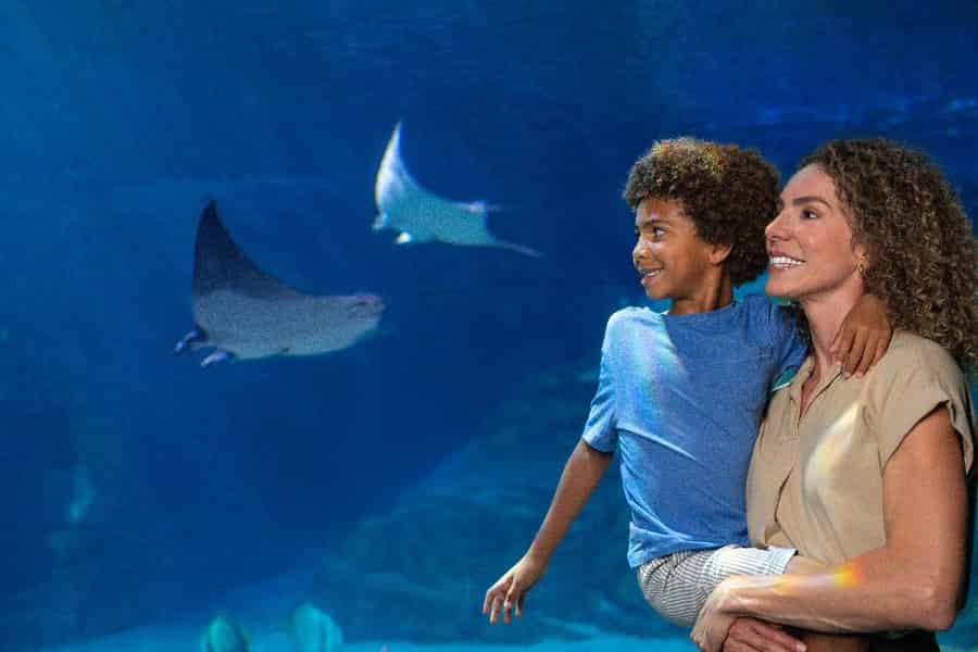 SeaWorld Orlando: Park Admission Ticket. Foto: GetYourGuide