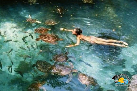 Zanzibar: Simma, snorkla och mata sköldpaddor på Baraka-akvarietHotelltransfer var som helst i Zanzibar