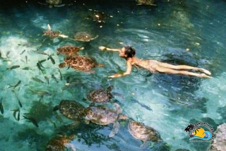 Zanzibar: Simma, snorkla och mata sköldpaddor på Baraka-akvarietHotelltransfer var som helst i Zanzibar