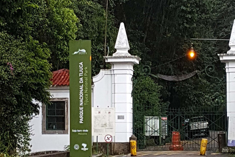 Rio de Janeiro: Zwiedzanie z przewodnikiem do Parku Narodowego Tijuca