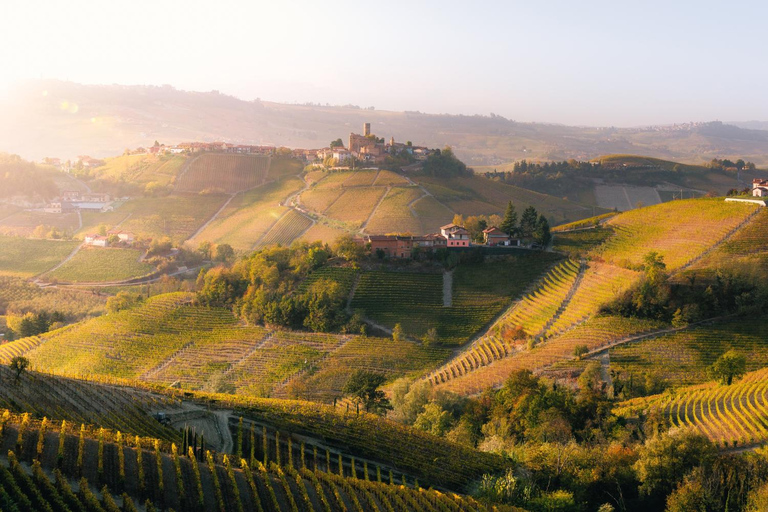 Milan: Barolo Vineyards & UNESCO Wine Cathedral Experience