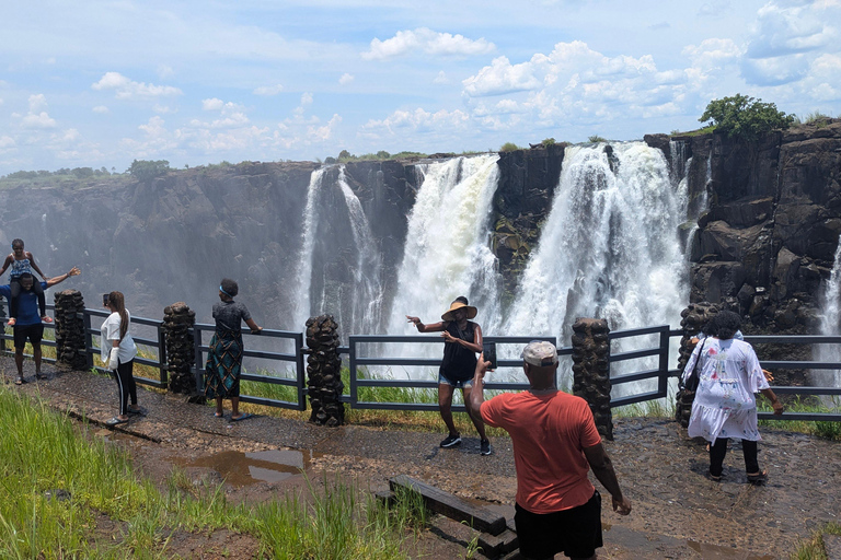 Victoria Falls Cross-Border Tour:Big Tree & Historic Bridge