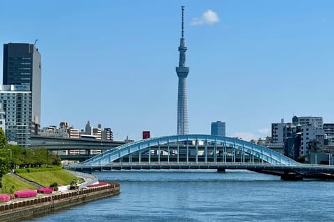 Tokyo After Dark – Neon, Nightlife & Secret Dining - Image 2